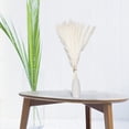 thumbnail image 2 of Decoración Seca Ganfancp Flores Secas Jarrones Ramas Decoración Boho Ramo de Juncos Secos, 2 of 2