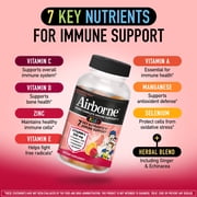 Airborne Kids 500mg Vitamin C Immune Support Gummies, Multivitamin Supplement, Assorted Fruit Flavor, 42 ct