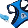 thumbnail image 2 of Jinsinto Pet leash (blue, M), 2 of 5