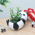 thumbnail image 1 of Cheers Mini Cute Panda Desktop Succulent Plants Flower Pot Home Garden Landscape Decor, 1 of 2
