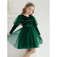 thumbnail image 6 of Toddler Girls Velvet Dresses Bubble Sleeve Dress Fall Winter Long Sleeves Dress for Holiday Party 1-6 Years, 6 of 8