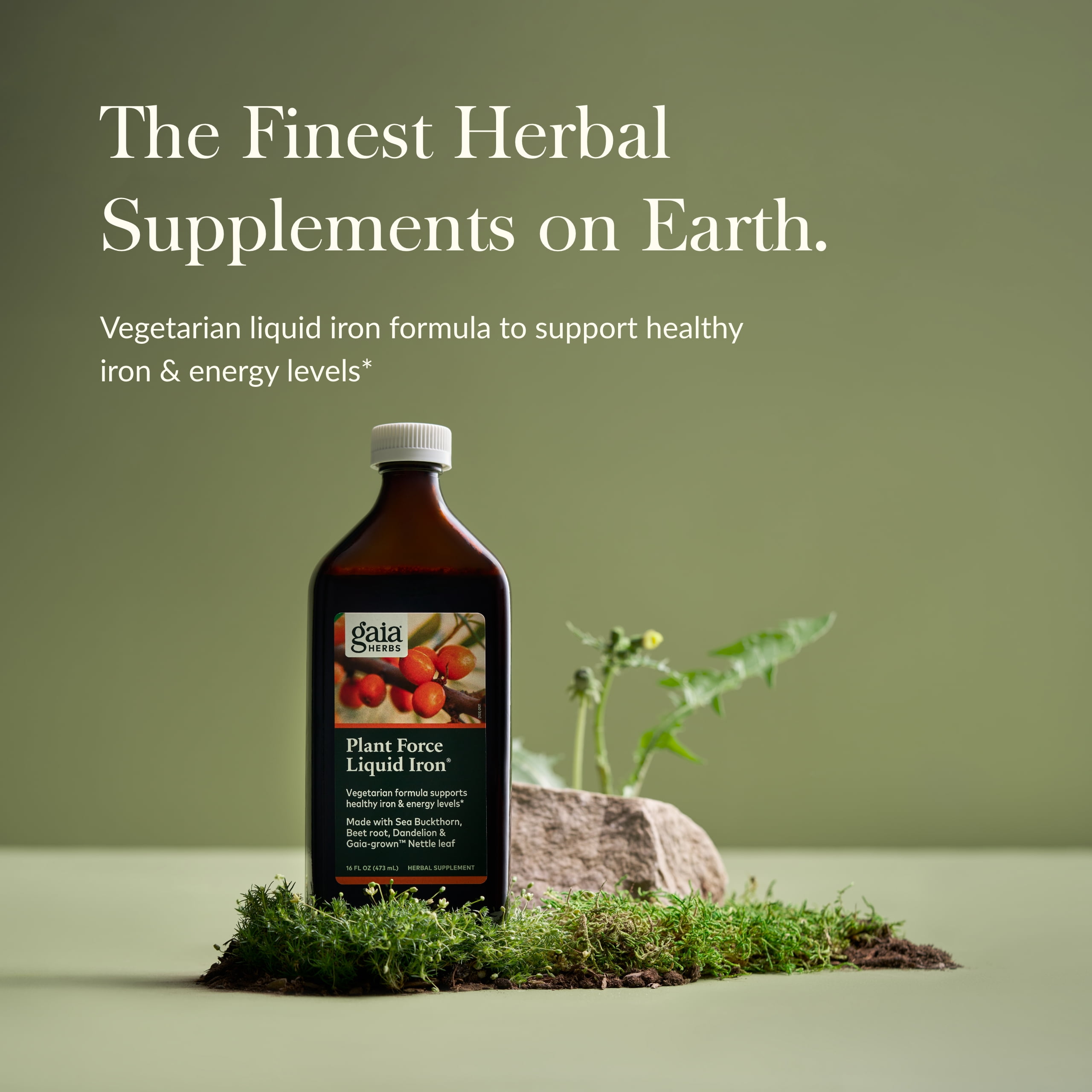 Gaia Herbs Plant Force Liquid Iron - Vegetarian Iron Supplement to Help Maintain Healthy Iron & Energy Levels - with Star Anise, Sea Buckthorn, Beet Root, Dandelion & Nettle - 16 Fl Oz (47 Servings)