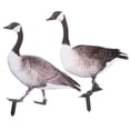 thumbnail image 4 of MLINS Garden Animal Stake Realistic Duck Decoration for Home Acrylic Material 2pcs, 4 of 8