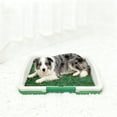 thumbnail image 7 of Portable Mat with Tray Small Potty for Indoor Outdoor Puppy Training Reusable Pee Pad with Tray Durable Pet Potty for Cats Dogs and Small, 7 of 7