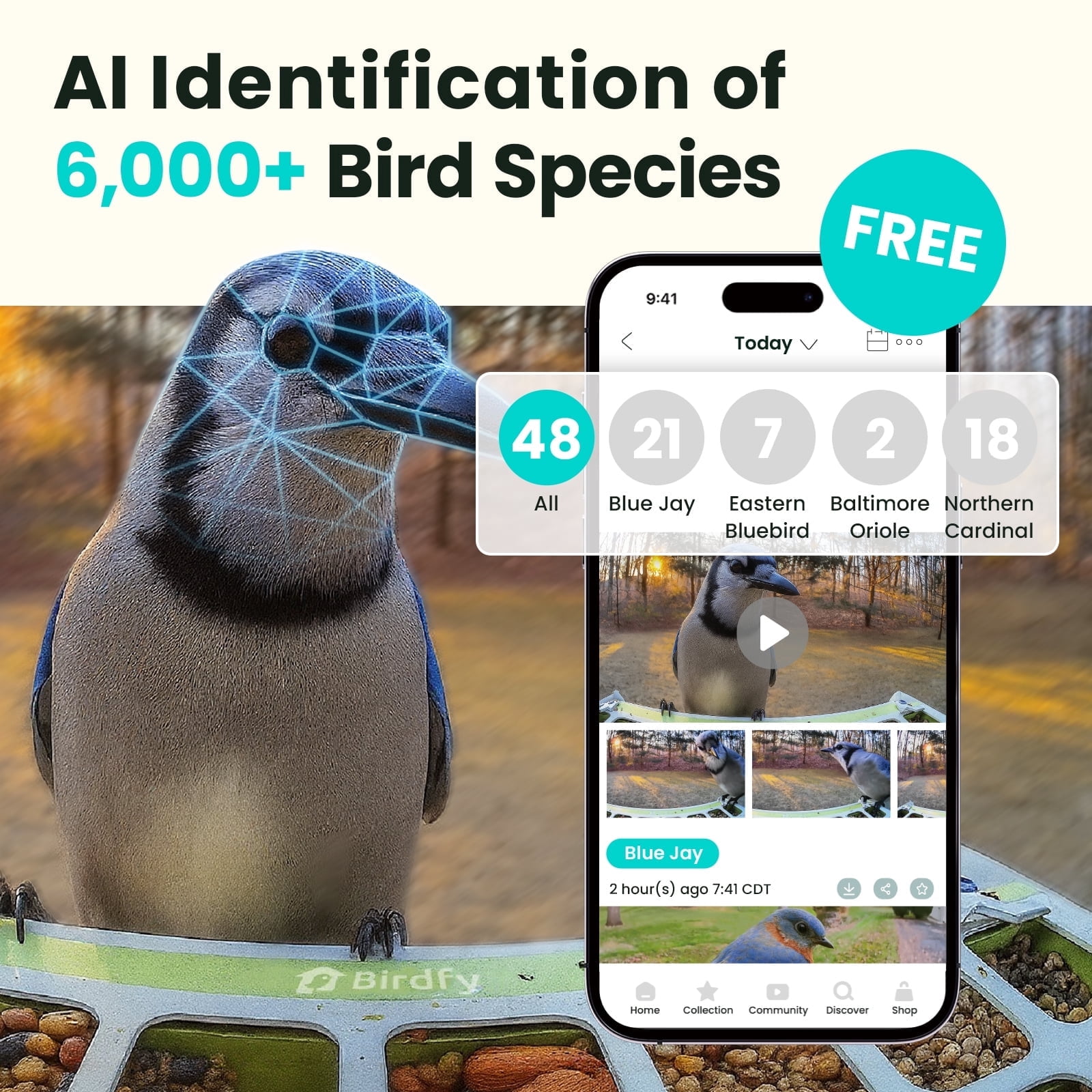 Birdfy Smart Bird Feeder with Camera, Free AI Bird Identification, Auto Visits & Notifications, Free App, Metal Build – Holds Up to 2.5L Bird Seed, Ideal Bird Lover Gift