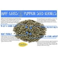 thumbnail image 4 of Sea Salted Pumpkin Seed Kernels by Gerbs, 2LBS - Top 14 Food Allergen Free & NON GMO - Vegan & Kosher - Hulled, 4 of 5