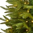 thumbnail image 5 of Nearly Natural Clear Prelit LED Green Holiday Fir Christmas Tree, 4', 5 of 8