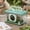 Green, variant on MORVLIX Foldable Transparent Plastic Insect Observation Box Breathable Portable Critter Habitat Container Outdoor Nature Exploration Educational Observation Cage for Biological Study Blue