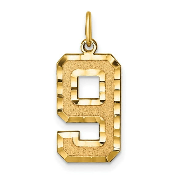 14k Yellow Gold Diamond Cut Texture Finish Large Size Number 9 Charm Pendant