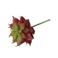 thumbnail image 4 of LABSERRON 1Pack Artificial Cactus in Grey for Home and Office Decor Reddish Brown Mini Size 1.97*1.97*3.46In, 4 of 8