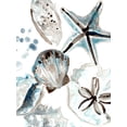 thumbnail image 2 of Vess, June Erica 19x24 White Modern Wood Framed Museum Art Print Titled - Cerulean Seashells I, 2 of 4