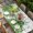 Gray, variant on St. Patrick's Table Cloths for 4 Foot Rectangle Tables, Luck Shamrock Eucalyptus Leaves Flowers Beige Patio Waterproof Elastic Fitted Tablecloths, Washable Rectangular Table Cover for Camping