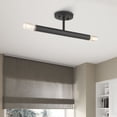 thumbnail image 5 of Livex Lighting, 51139-04, Copenhagen, Semi-Flush, Black, 5 of 12