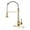 Gold, variant on Kitchen Faucets Gold Faucet with Pull Down Sprayer RV Sink Stainless Steel Kitchens Single Hole Modern Tall