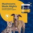 thumbnail image 5 of NaturVet Mushroom Max Advanced Immune Support Soft Chews for Dogs and Cats, 5 of 9