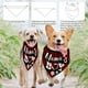 thumbnail image 4 of 1 pañuelo para perro, de algodón, triangular, con rayas rojas y negras, lavable, con estampado de letras "Mama's Boy", accesorios Chief, 4 of 9