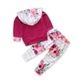 thumbnail image 2 of Bilo Infant Baby Girl Floral Pattern Long Sleeve Hoodie and Pants 3 pcs Cotton Outfit (Dark Pink, 3-6 Months), 2 of 4