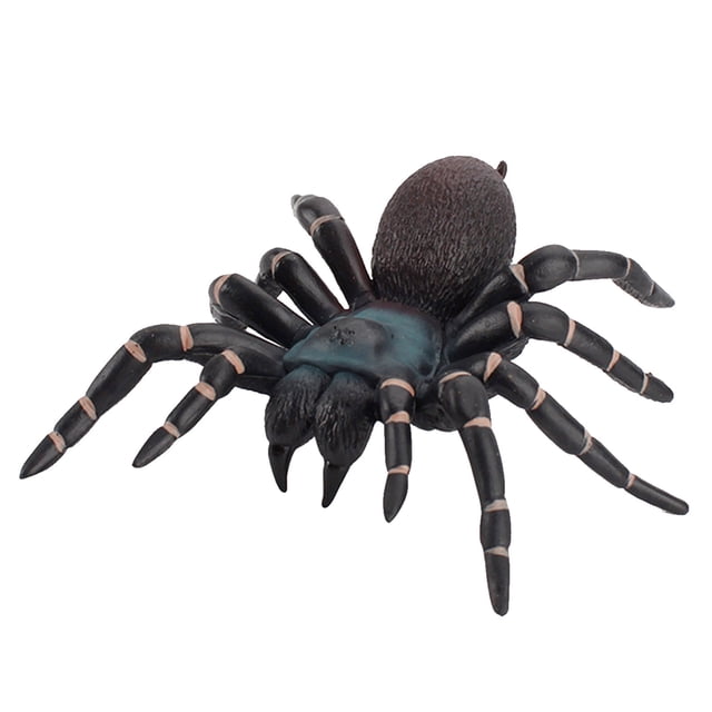 EGNMCR Spider Araignée Araignée Noire Insecte de Simulation Modèle Solide Enfants Farce et Effrayant Tricky Cadeaux d'Anniversaire pour Enfants