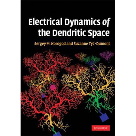 Pre-Owned Electrical Dynamics of the Dendritic Space (Hardcover) 0521896770 9780521896771