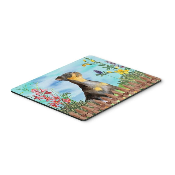 Miniature Pinscher 2 Spring Mouse Pad Hot Pad or Trivet