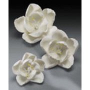 Angle View: Cake Decoration Gum Paste Blossom Assortment- White