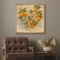 thumbnail image 3 of Framed Canvas Print Botanical Wall Art Vintage Fruit Decorative for Kitchen - 24"x24" NATURAL, 3 of 8