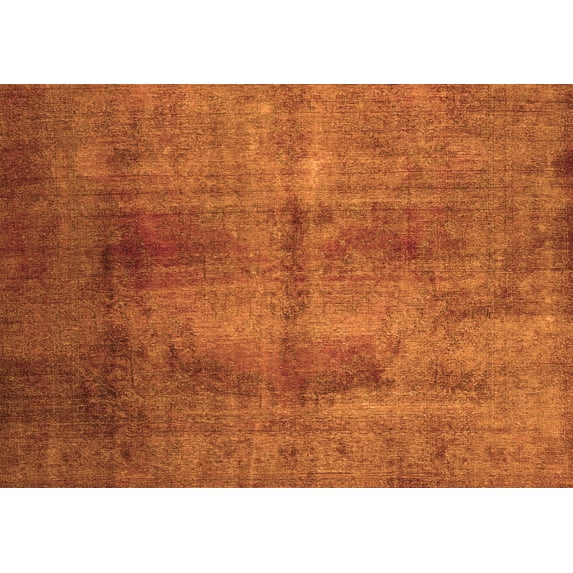Ahgly Company Indoor Rectangle Persian Orange Traditional Area Rugs, 4' x 6'