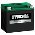 thumbnail image 2 of Batería TYKOOL LFP30L-BS-STD 650 CCA 12 Ah de litio, 2 of 8