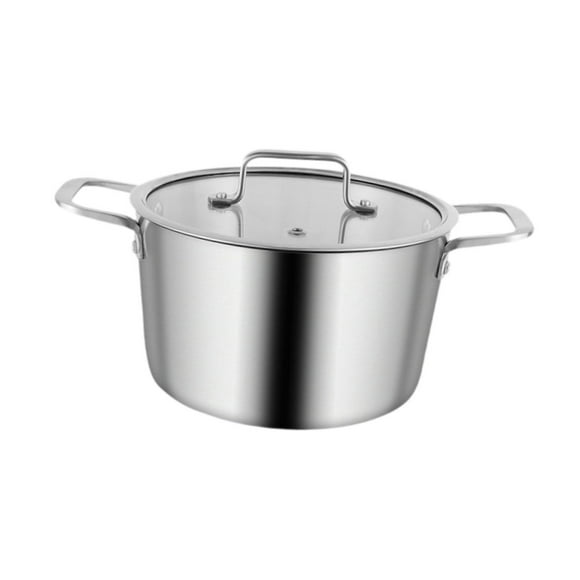Olla de acero inoxidable para sopa, olla de inducción con doble asa y tapa visible 20 centímetros