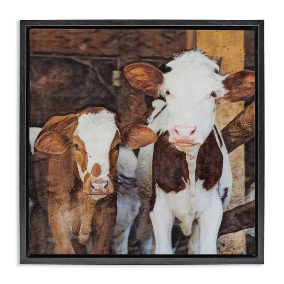 Stupell Industries Baby Cows on Farm Animals Painting Black Floater Framed Canvas Art Print Wall Art, 18 x 18