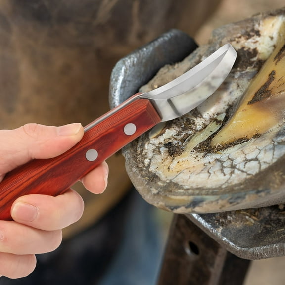 Ikoopy Hoof Knife Stainless Steel Double Edged Hoof Trimming Knife with Non Slip Wooden Handle Horse Farrier Tool for Cow Horses