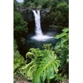 hawaii-big-island-hilo-rainbow-falls-state-park-greenery-surrounds