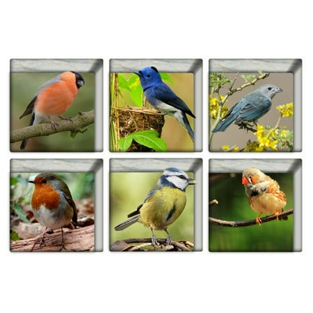 - Mosunx 6pcs 13x13cm Bird Pattern 3D Anti Slip Waterproof Bathtub Sticker