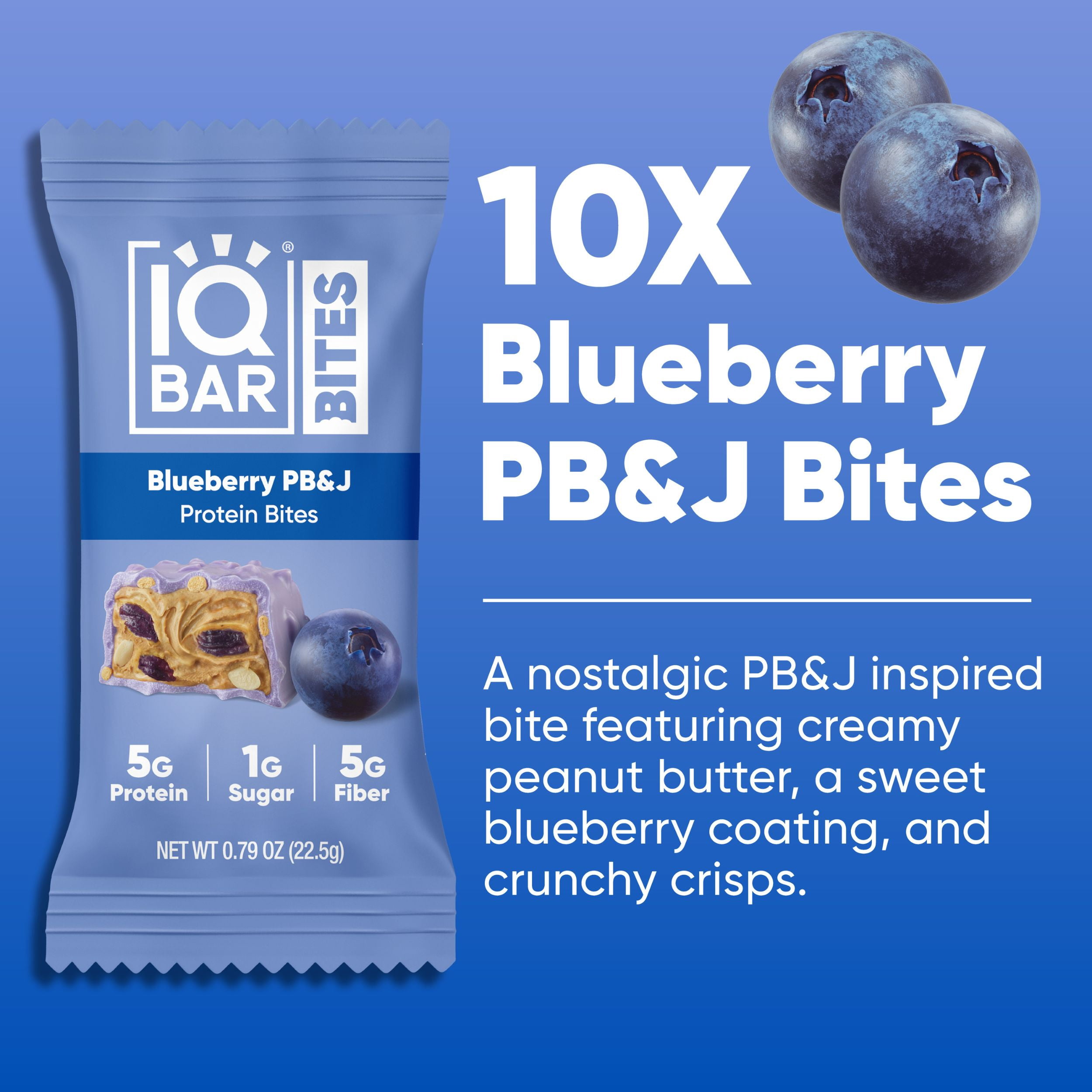 IQBAR Bites Blueberry 10 Count - High Protein, High Fiber, Low Sugar Snack - Clean Label Project Certified