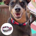 thumbnail image 3 of Asa de collar de perro súper suave para una correa cómoda para perros pequeños, 3 of 5