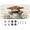 Multicolor 1, variant on ADECORIVY Highland Cow Flower Wood License Plate, Aluminum Decorative Novelty Vanity Tag with 4 Holes, Front Plate for Men Women Car Tag Accessories, 6 x 12 inch