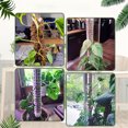 thumbnail image 3 of Plastic Moss Pole, Monstera Plant Support Semi Cylindrical Stackable  for Indoor Plants, 3 of 8