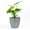 Silver, variant on GreenLine Manufacturing American Essence 18 Inch Round Plastic Planter, Indoor and Outdoor Decorative Plant Pot, Black