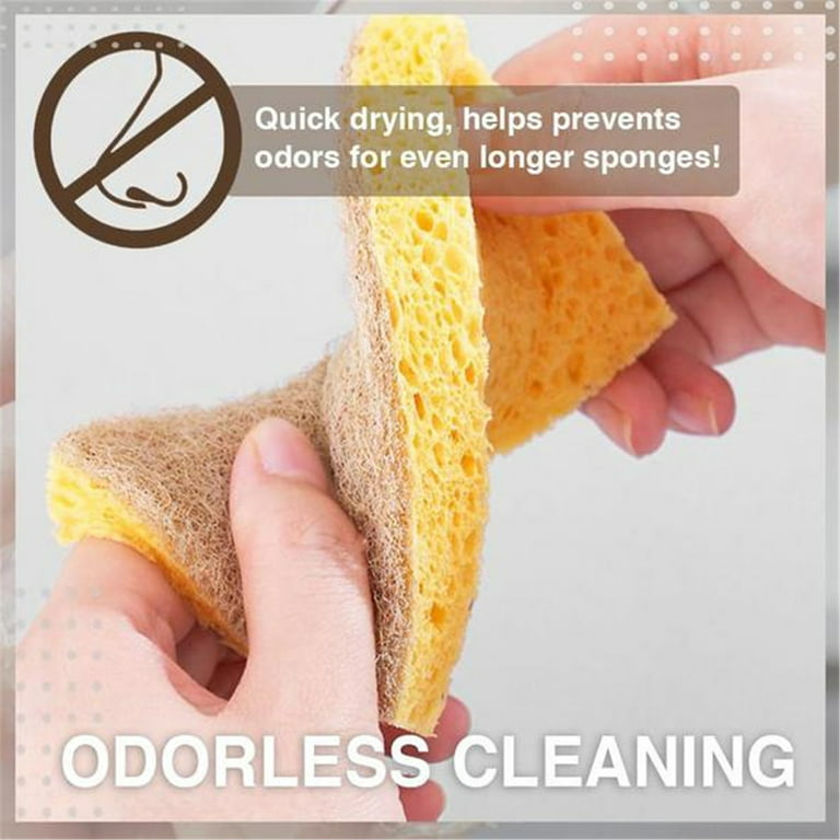 Kitchen Non-Scratch Dish Sponge Biodegradable Scrubbing Sponges