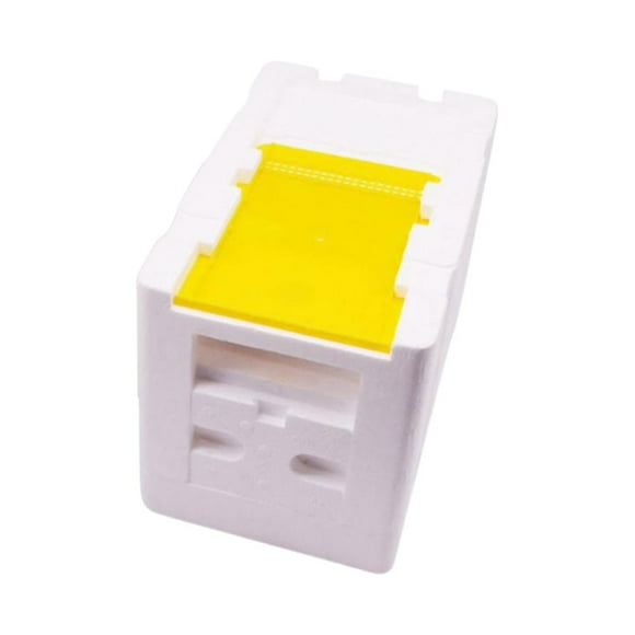 Daily Mix Store Mangeoire à Abeilles en Plastique 3-Cadres, Mini Boîte d'Élevage pour Reine, Kit d'Apiculture pour Alimentation par le Haut de la Ruche, Fournitures d'Apiculture avec Design Étanche, Écran de Ventilation Outils d'Apiculture Portables