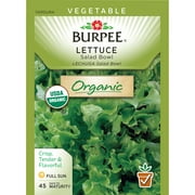 Burpee-Lettuce, Salad Bowl Green Organic Seed Packet
