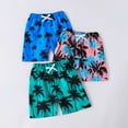 thumbnail image 3 of 3 Pack Beach Shorts for Boys Summer Casual Athletic Shorts for Toddler Kids Elastic Waist Print Shorts, 3 of 6