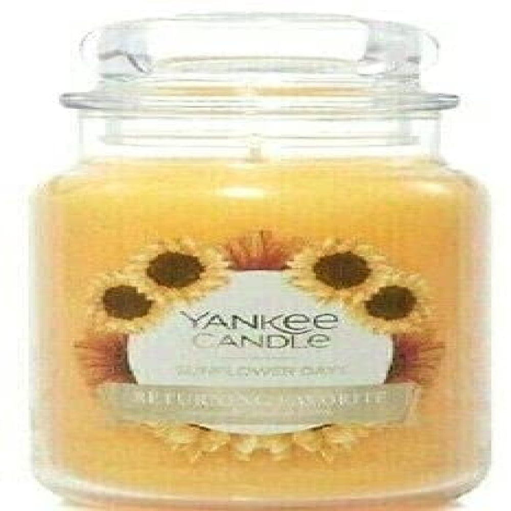 Yankee Candle Large  22oz New Retired Rare Scents CHOICES B-Y Scents 