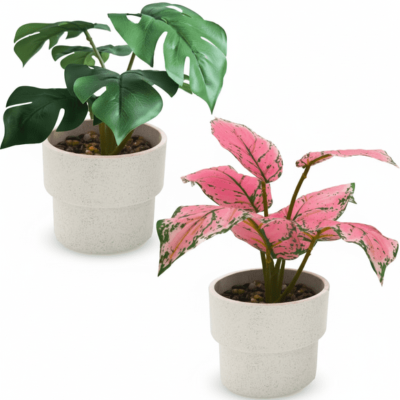 CasaVibe Paquete de 2 Plantas Artificiales de Hojas de Tortuga - Follaje Falso Realista Premium con Macetas, Decoración Tropical para Interiores y Exteriores