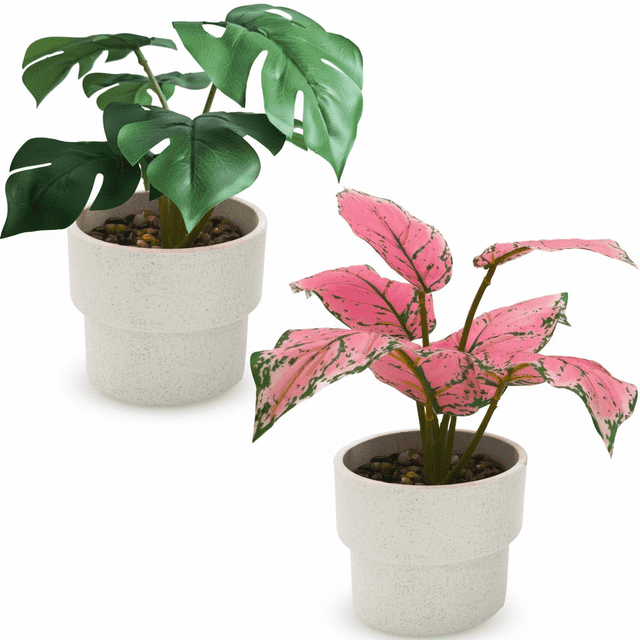 CasaVibe Paquete de 2 Plantas Artificiales de Hojas de Tortuga - Follaje Falso Realista Premium con Macetas, Decoración Tropical para Interiores y Exteriores