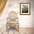thumbnail image 3 of Thornton, Dr R 20x24 Gold Ornate Wood Framed with Double Matting Museum Art Print Titled - Pitcher Plant, 3 of 4