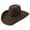 Chocolate, variant on RESISTOL Men's Hooey Day Money Cowboy Hat Gray