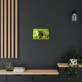 thumbnail image 4 of Majestic Vampire Bat Art Majestic Vampire Bat Print Animal Wall Art Wildlife Canvas Prints Wall Art Ready to Hang Unframed, 4 of 18