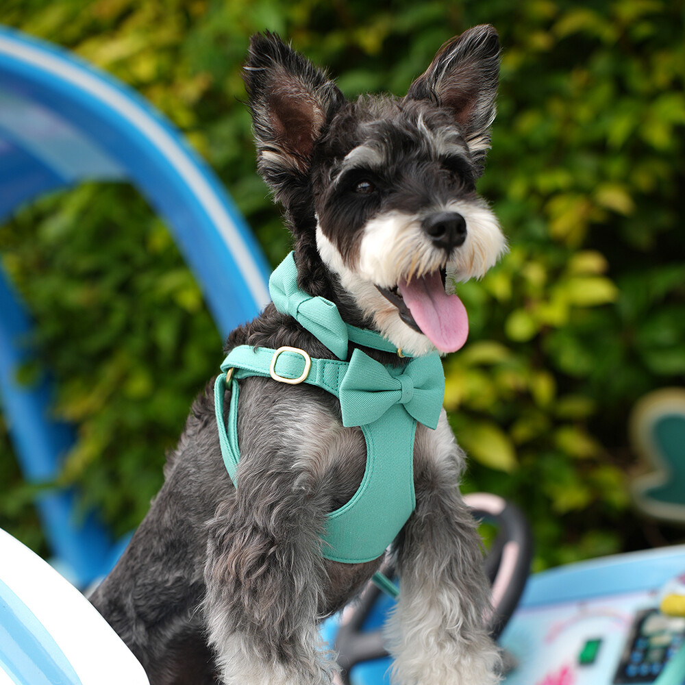 Didog Cute Small Dog Vest Harness & Collar & Leash & Poo Bag Holder set for Puppy Cats Pet Yorkie
