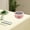 OA2091, variant on 3PC Teacher gifts Stainless Steel Food Storage Airtight With Lids Insulated Lunch Box Kitchen Organizers Stackable Fridge Freezer Safe Meal Prep Bowls Sealed Keepers